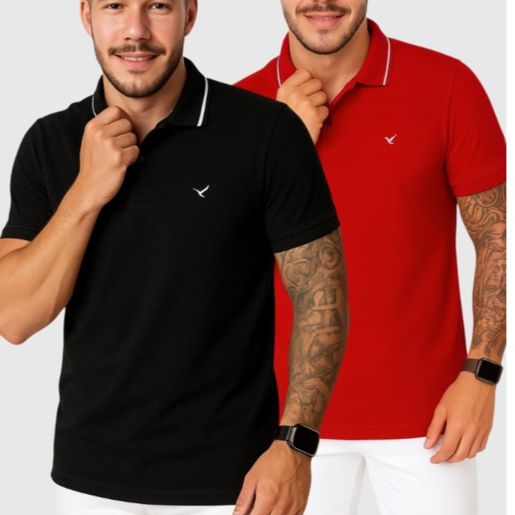 Kit 2 Camiseta Gola Polo Masculina 100% Algodão