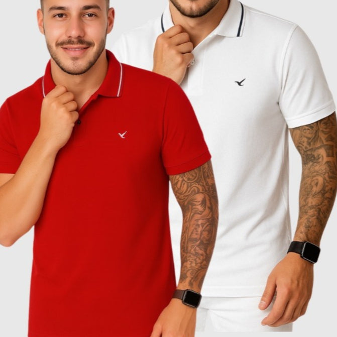 Kit 2 Camiseta Gola Polo Masculina 100% Algodão