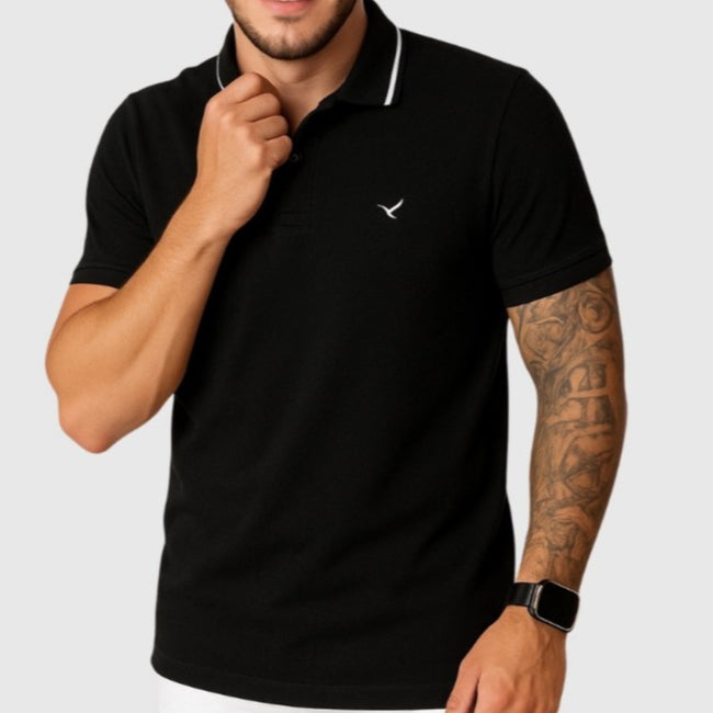Kit 2 Camiseta Gola Polo Masculina 100% Algodão Egípcio Malha Super Premium Básica