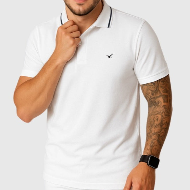 Kit 2 Camiseta Gola Polo Masculina 100% Algodão
